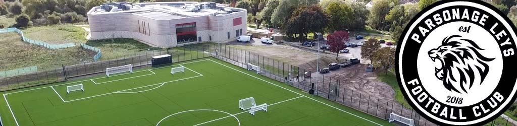 Grange Paddocks Leisure Centre 3G